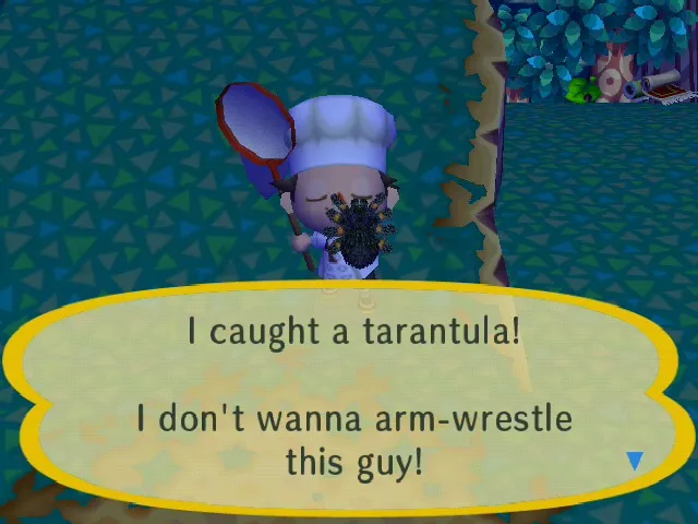 19625 tarantula animal crossing city folk 2