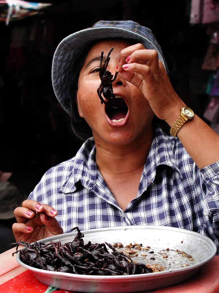 19631 eating thai fried tarantula