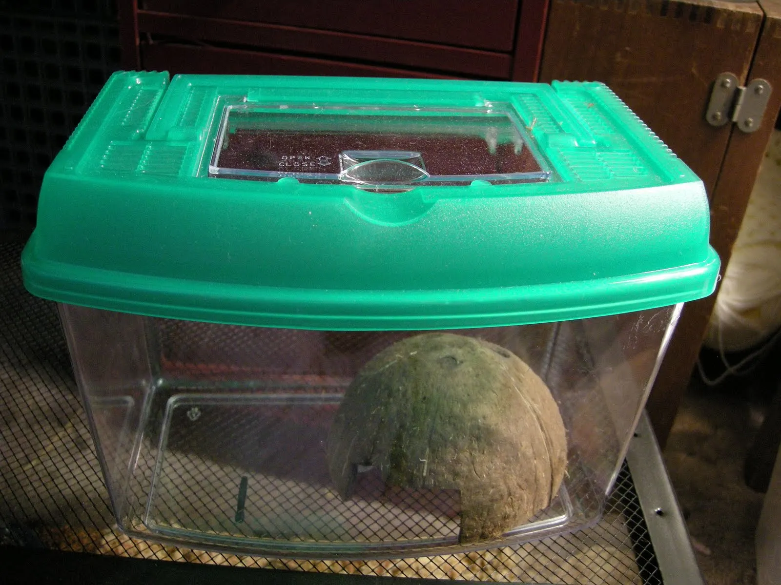 19640 tarantula substrate