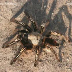/img/19643-skeleton-leg-recovery.webp