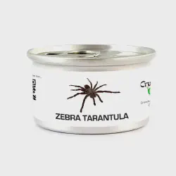 /img/19648-tarantula-drinking-water.webp
