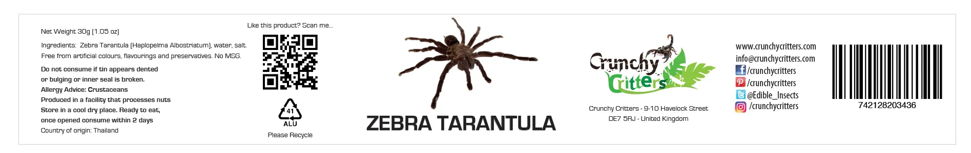 19648 tarantula eating cricket