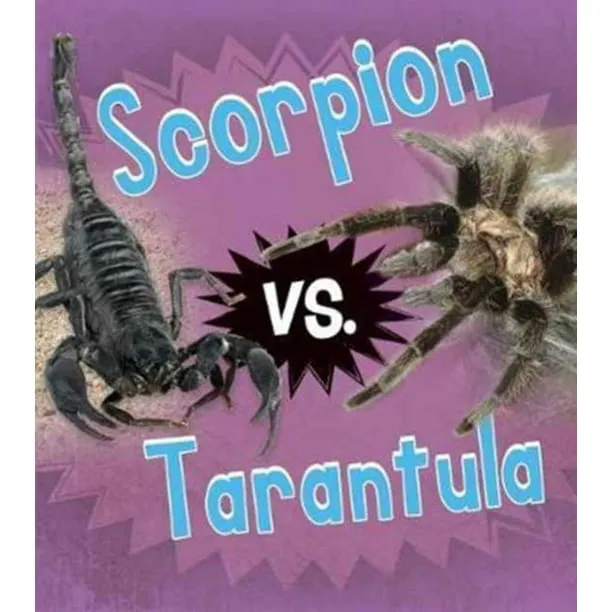 19651 tarantula hawk sting